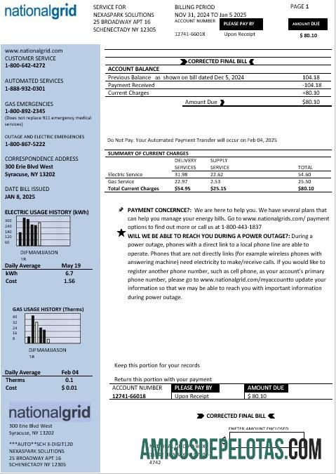 Para baixar modelo de conta de serviços públicos da rede nacional dos EUA, Nova York, em formatos Word e PDF